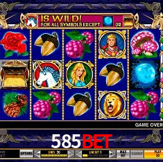 585BET Rio de Janeiro - Bonus Terms
